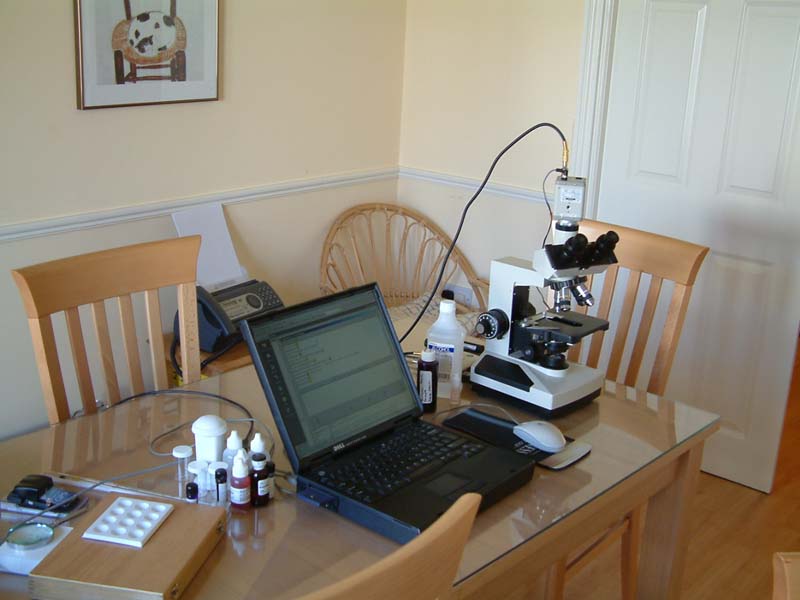 Microscopy Laboratory View 1