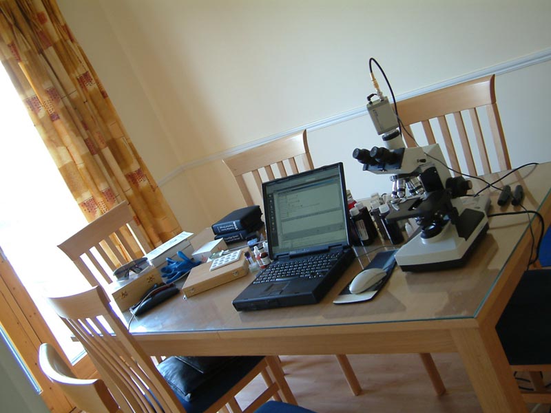 Microscopy Laboratory View 1